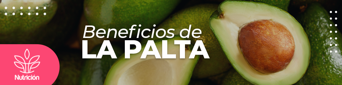 Los Beneficios de la Palta